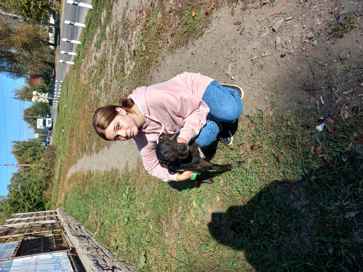 Студенты группы 22ИПД1 посетили приют Питомец